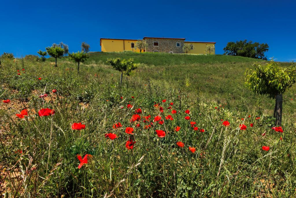 Agriturismo Poggio Mirabile Manciano Exterior photo