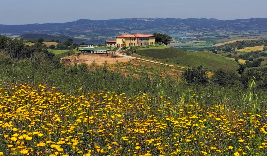 Agriturismo Poggio Mirabile Manciano Exterior photo